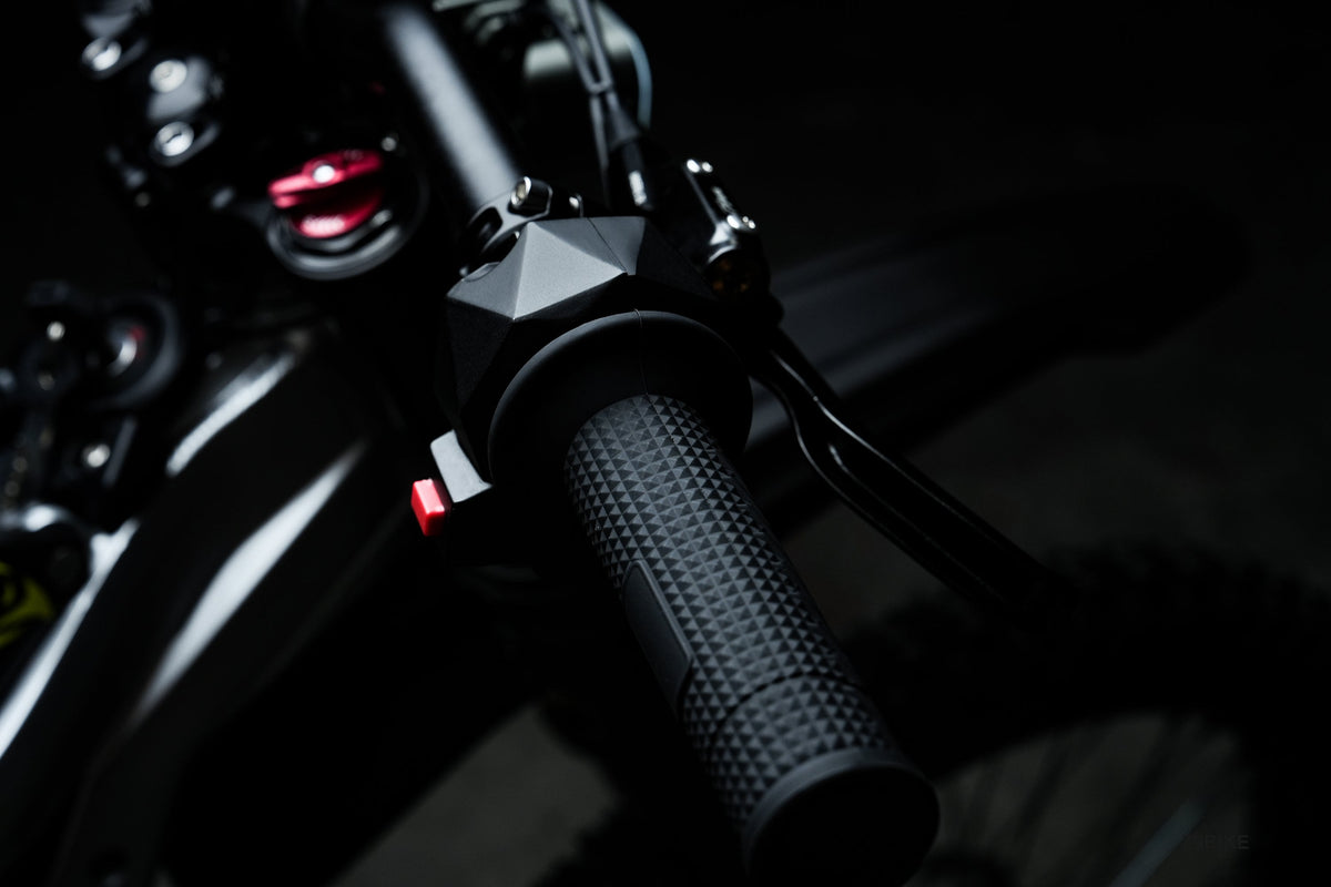 79BIKE Falcon Pro