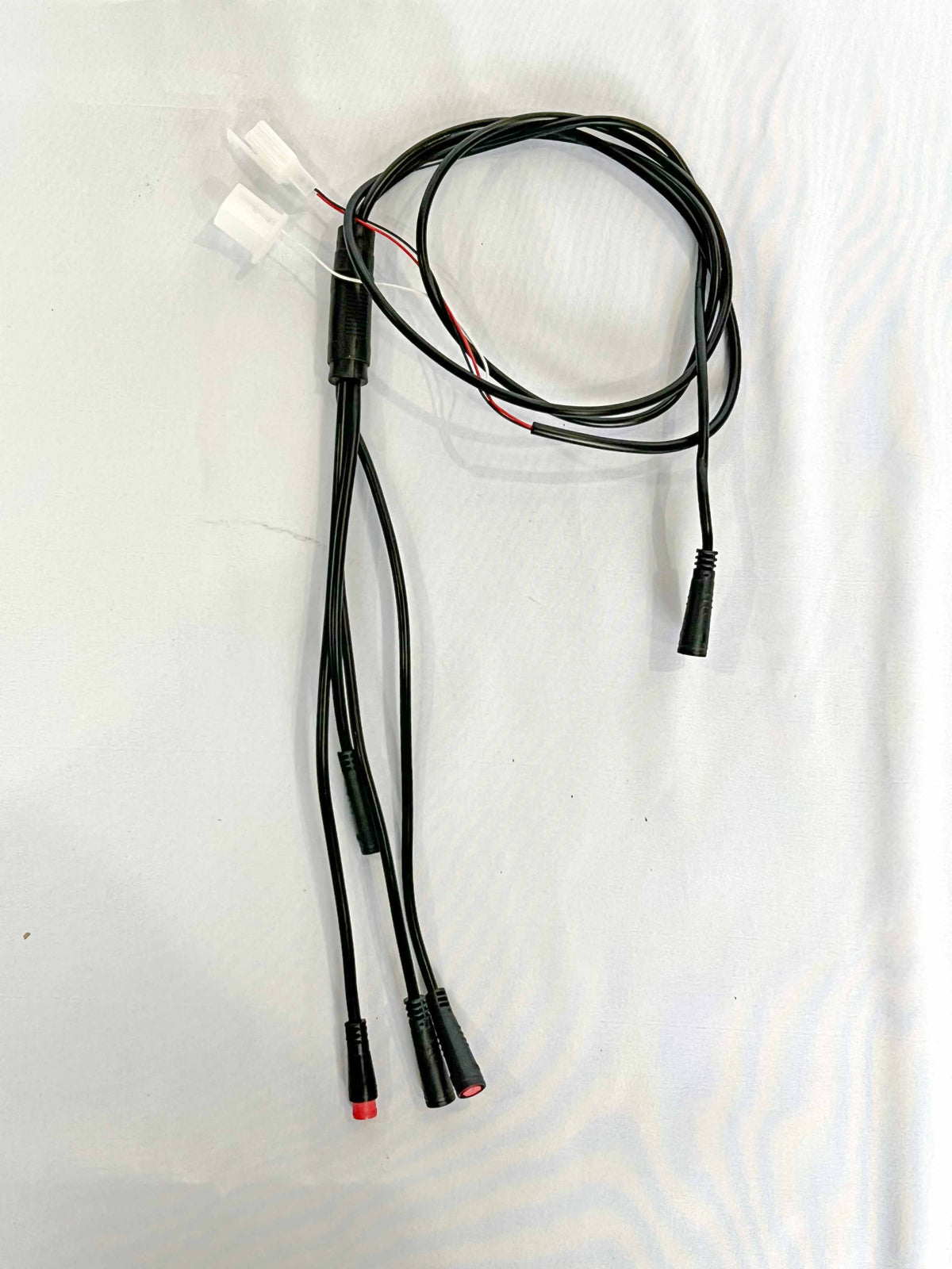 Accessory Harness - Rizzler 2026