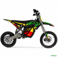 Rasta ETM RTR Graphics Kit