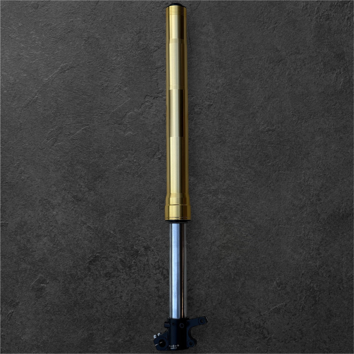 Front Fork, Brake Side - ETM RTR Lite 2025