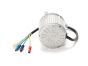 60V Motor