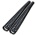ETM RTR Mod Fork Springs