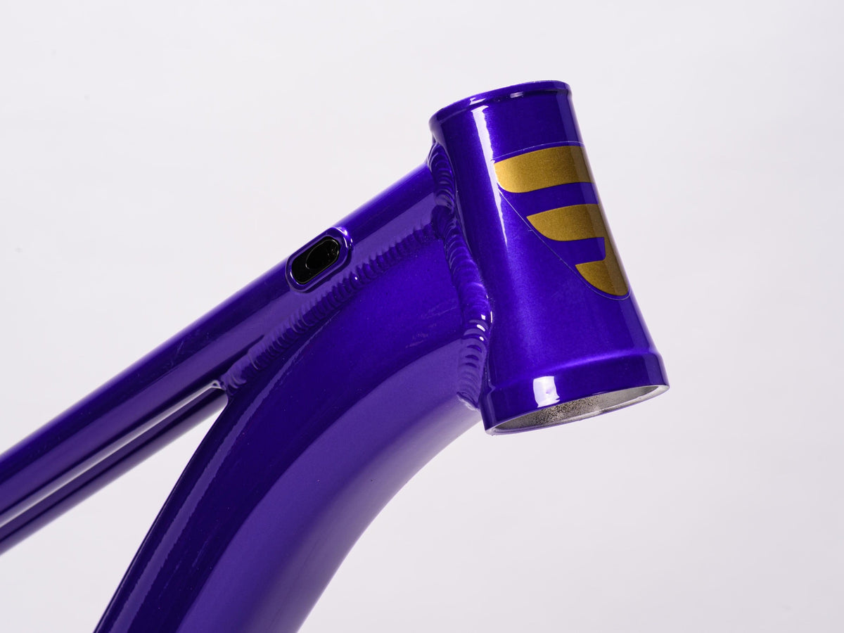 La plaga Signature LP Frame Purple 