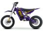 EBOX V3 60R Purple/Gold