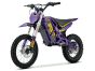 EBOX V3 60R Purple/Gold
