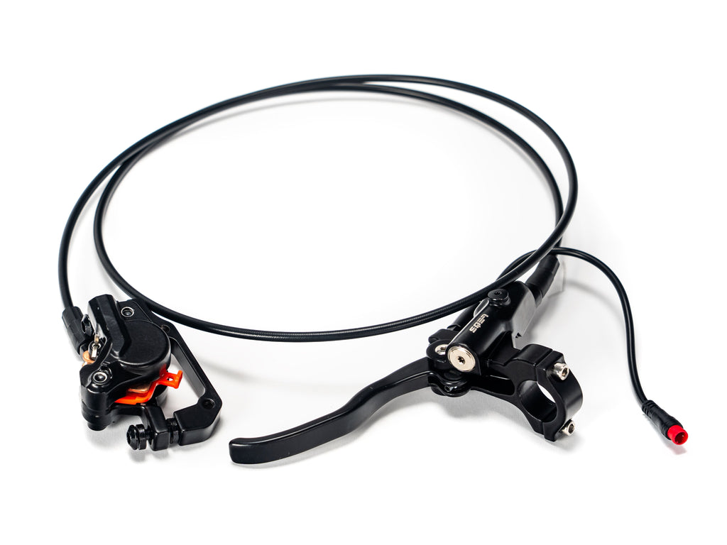 EBX Rear Brake System