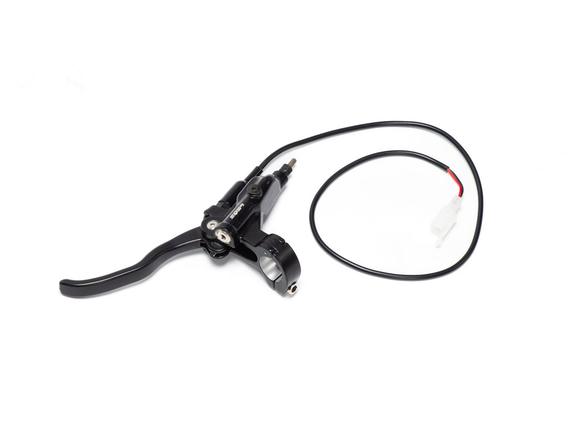 Rear Brake Lever