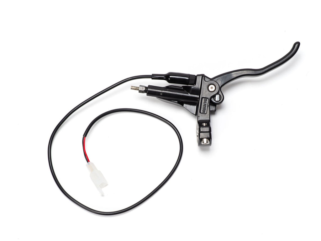 Rear Brake Lever