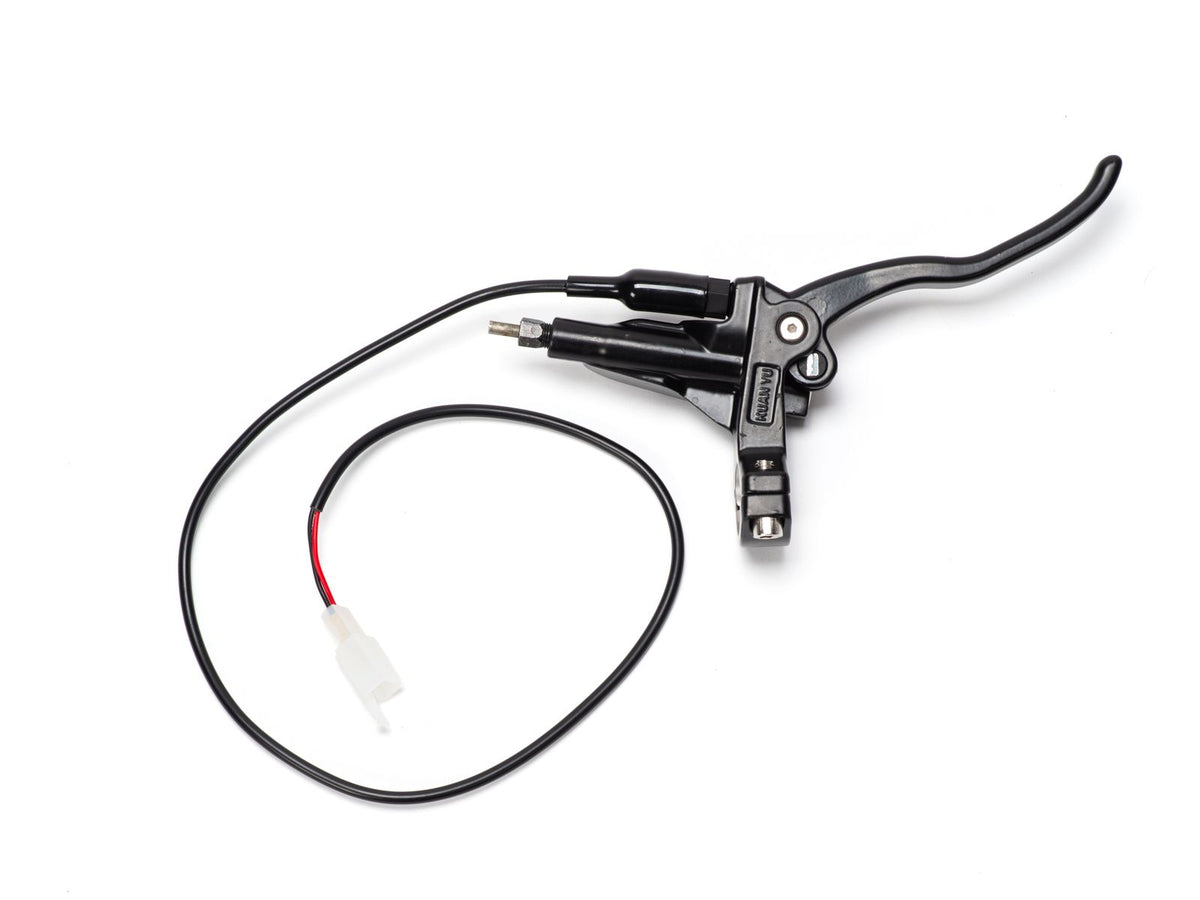 Rear Brake Lever