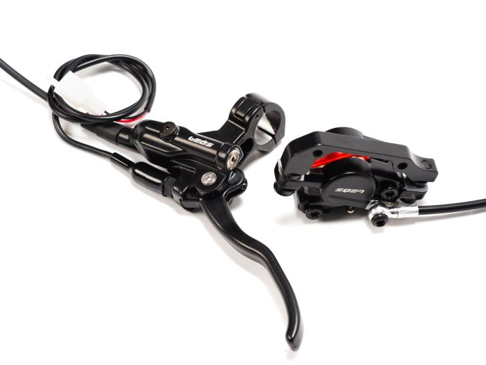 Rear Brake System