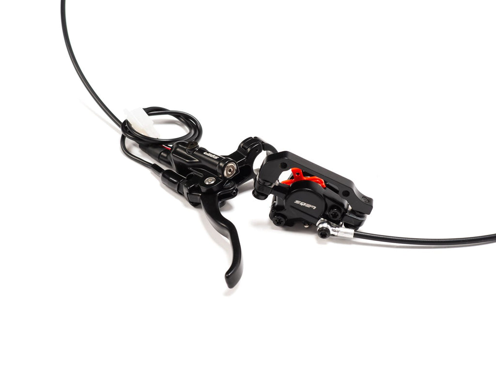 Rear Brake System