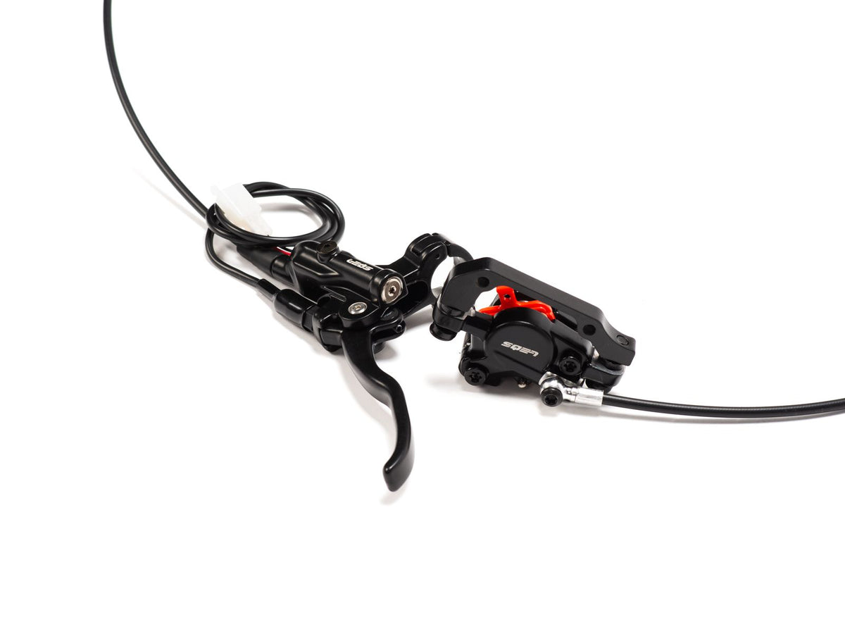 Rear Brake System