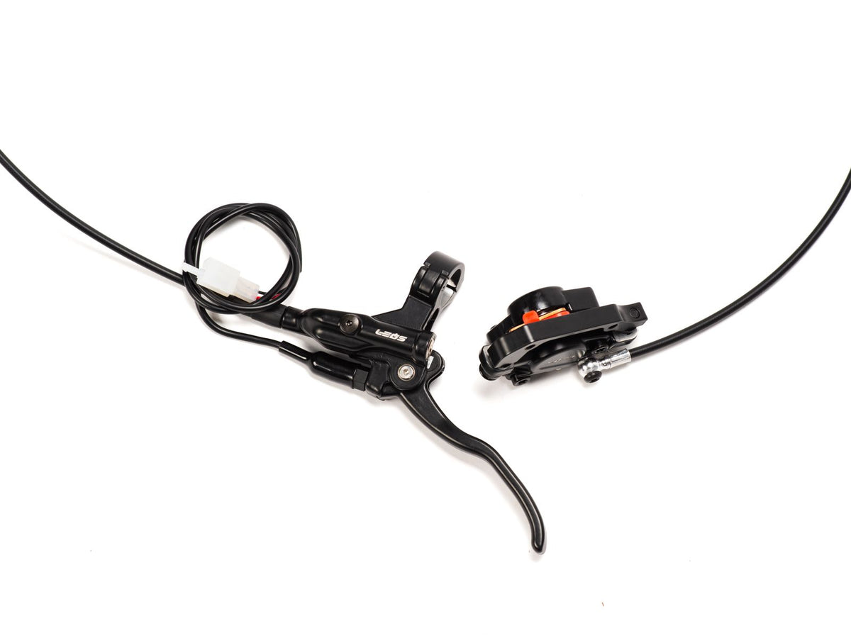 Rear Brake System
