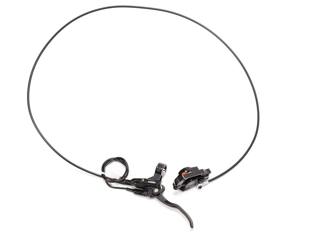 Rear Brake System