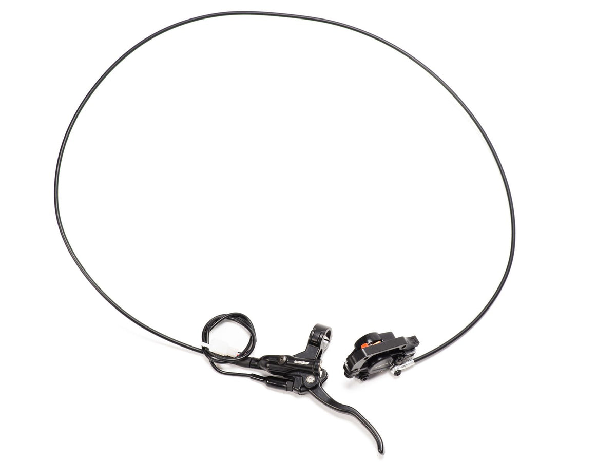 Rear Brake System
